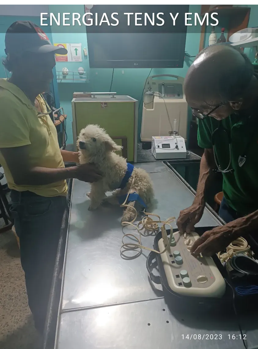 Fisioterapia